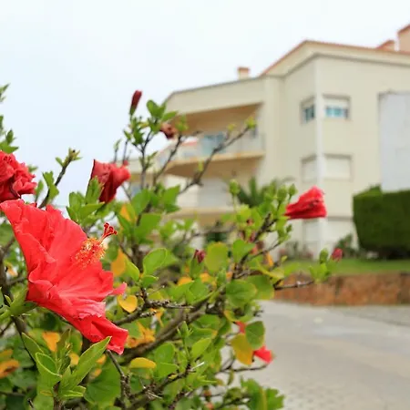 Casas Da Sunset